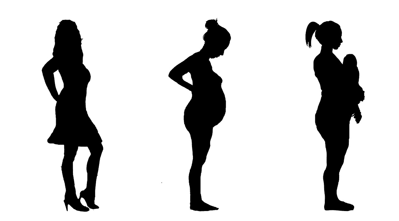 pregnant pregnancy silhouette free photo