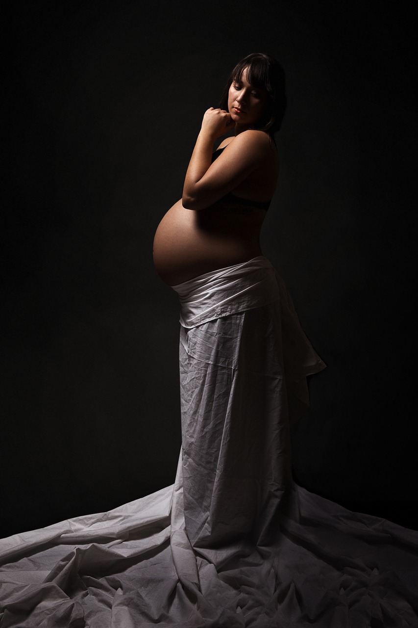 pregnant  beauty  pregnancy free photo