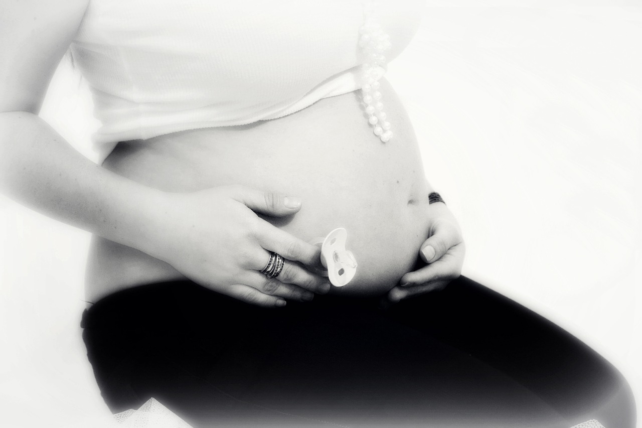 pregnant pregnancy pregnant woman free photo