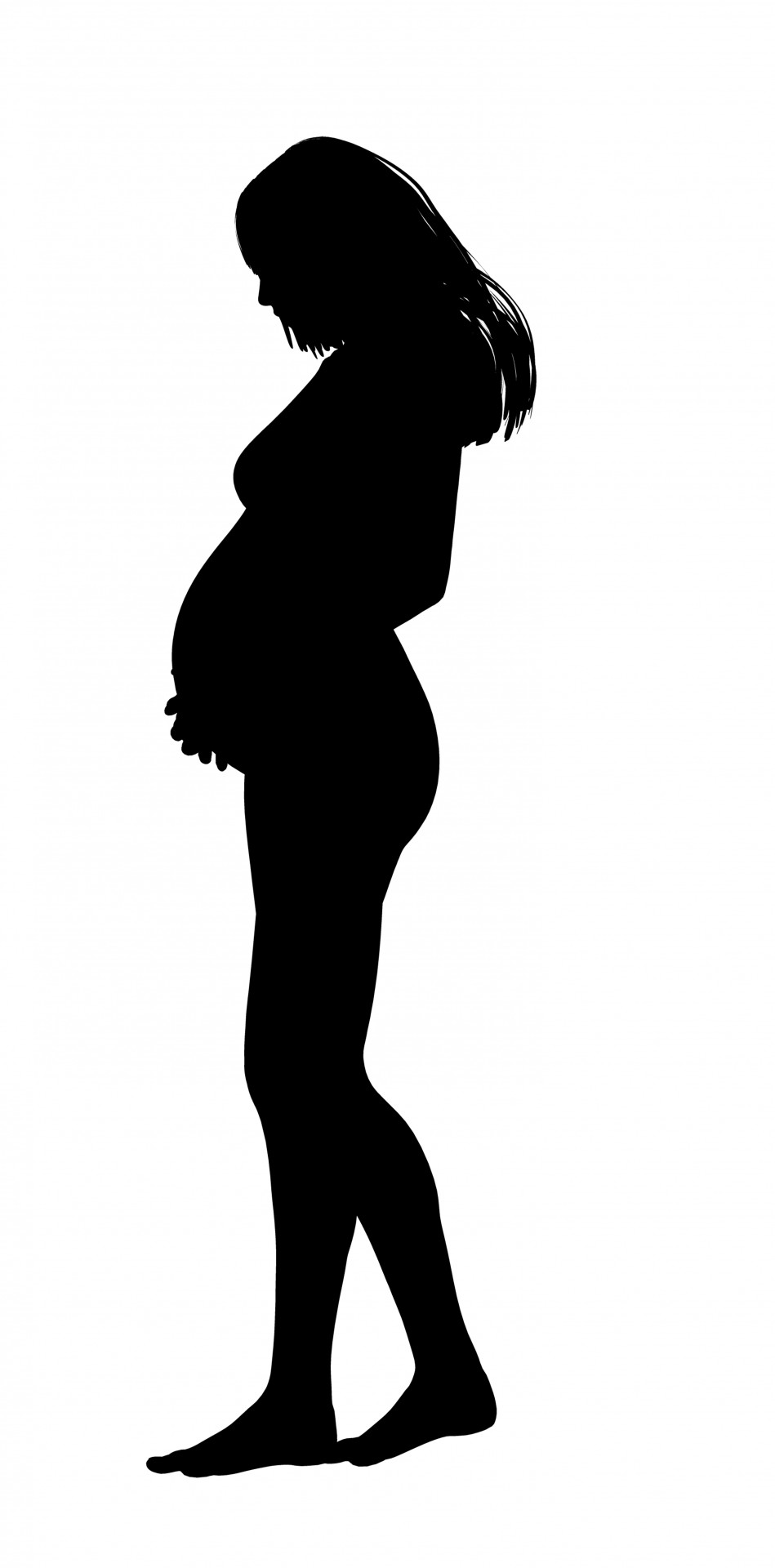 pregnant lady silhouette baby new baby free photo