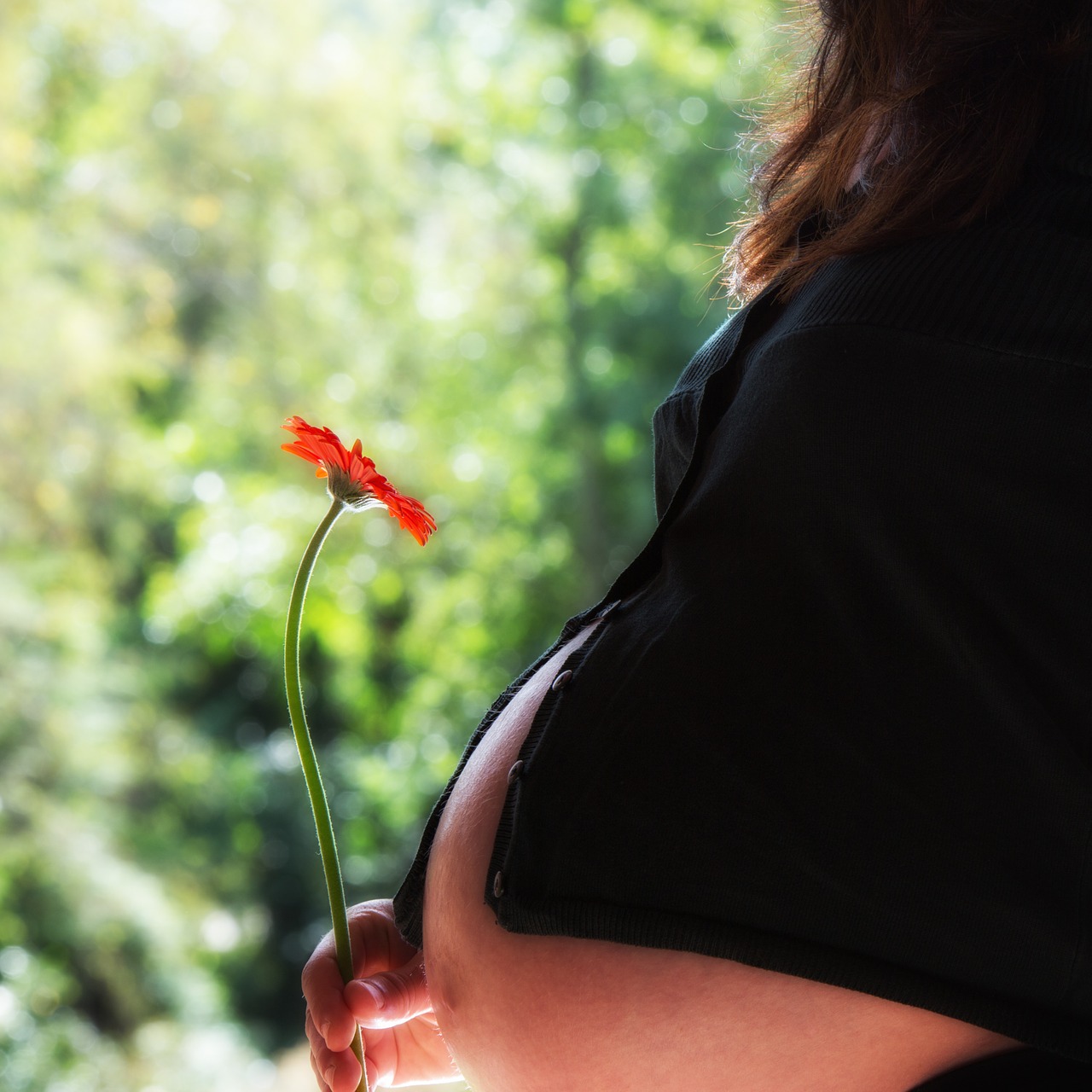 pregnant woman pregnancy speaker free photo