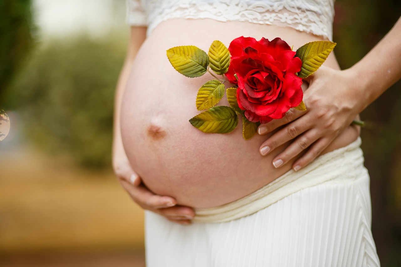 pregnant woman pregnancy rosa free photo