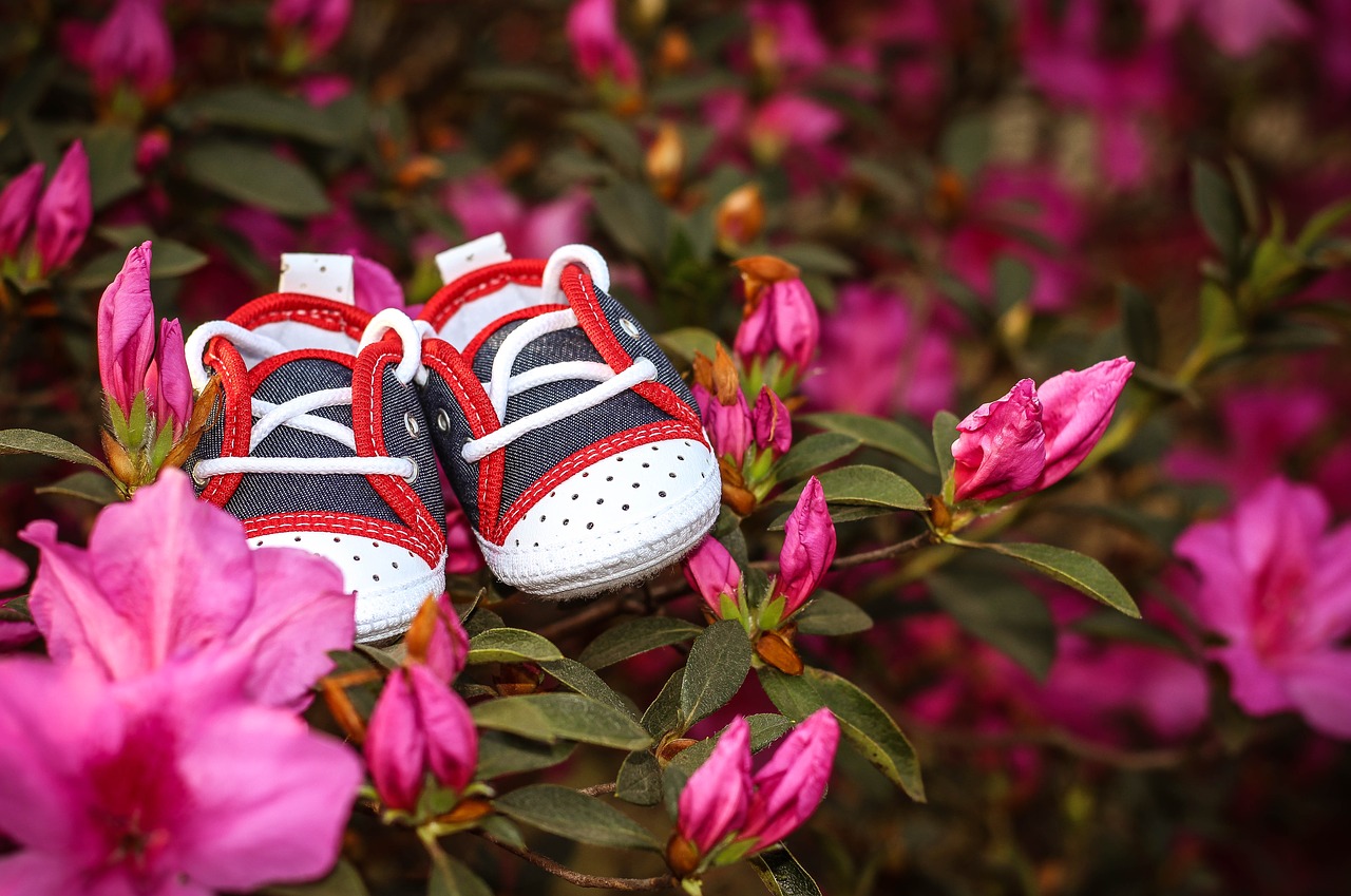 pregnant woman slipper spring free photo