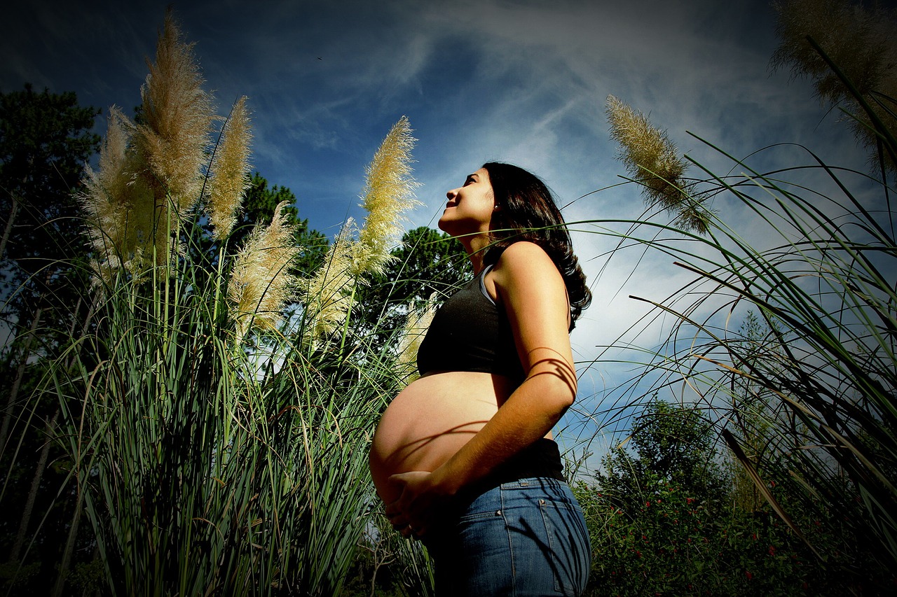 pregnant woman nature happy free photo