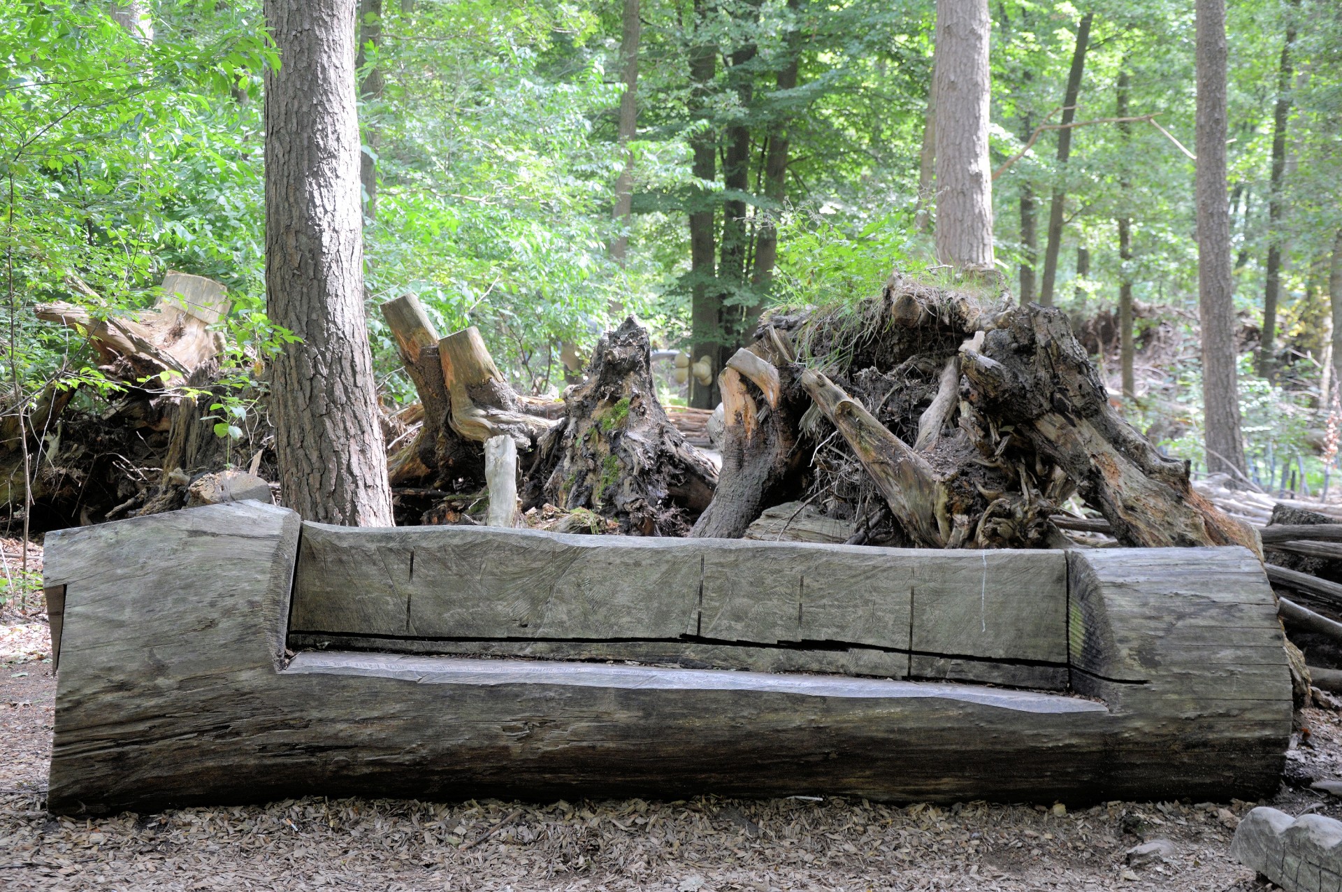 wood prehistoric canoe free photo