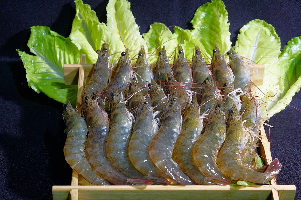 premium shrimp white shrimp vegetable free photo