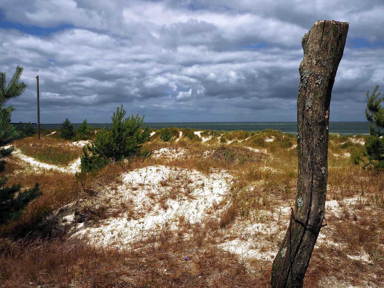 prerow baltic sea mood free photo