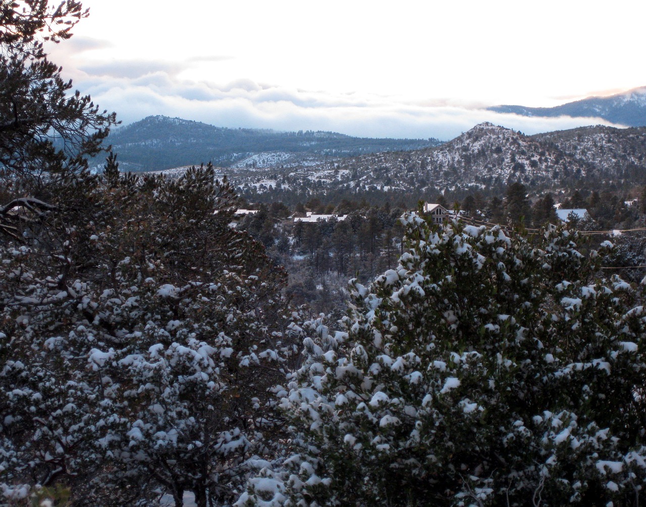 prescott national forest hassayampa bradshaw mountains free photo