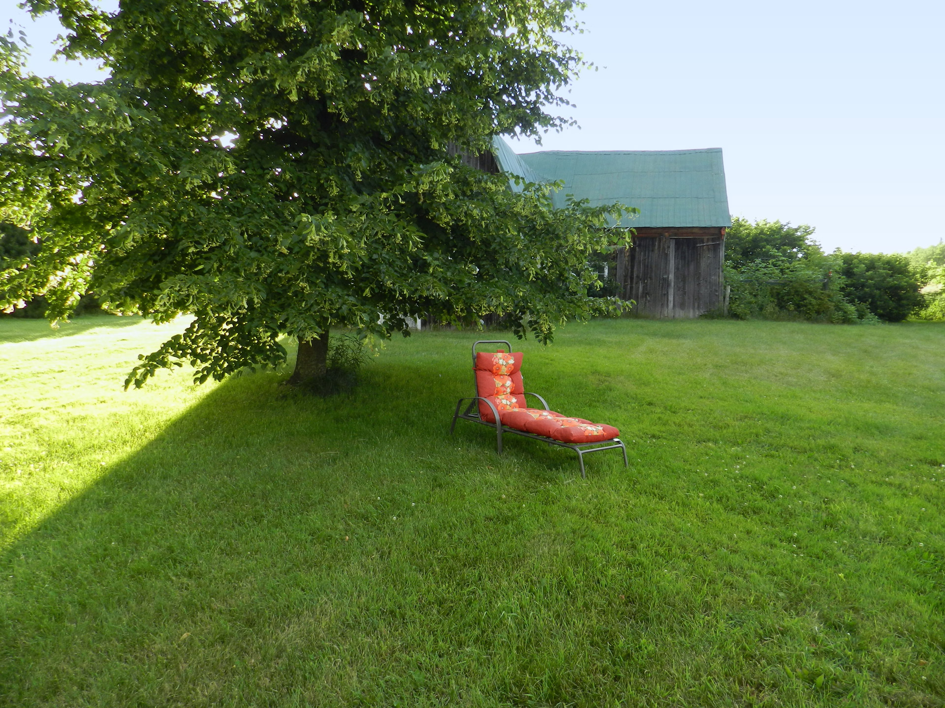 chaise longue grassy countryside ready for a nap (1) free photo