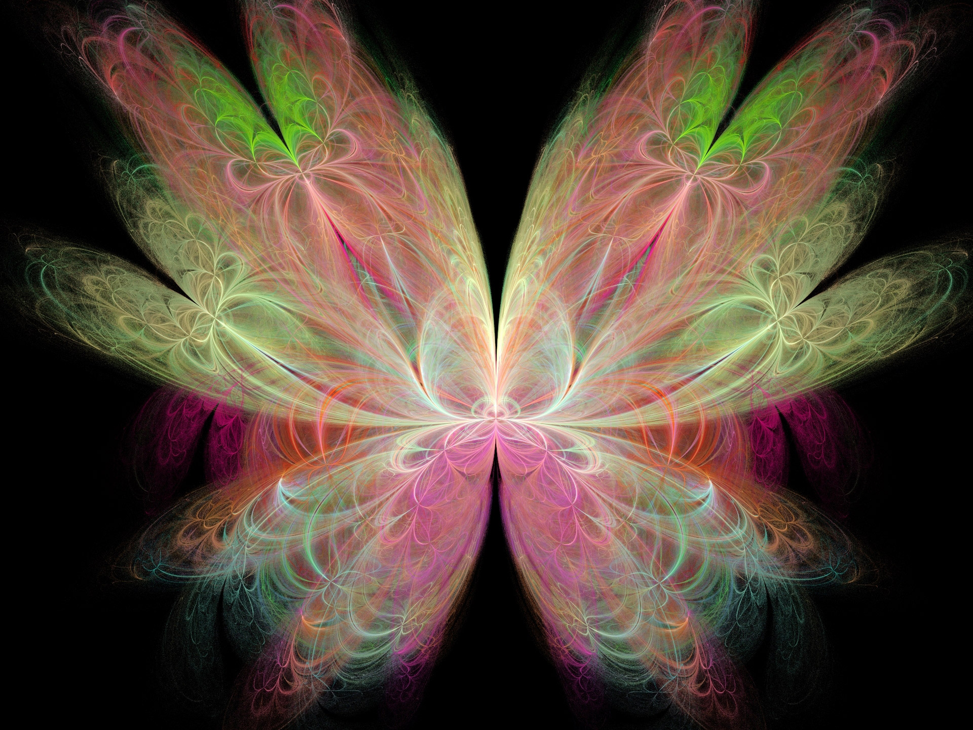 colours fractal butterfly free photo