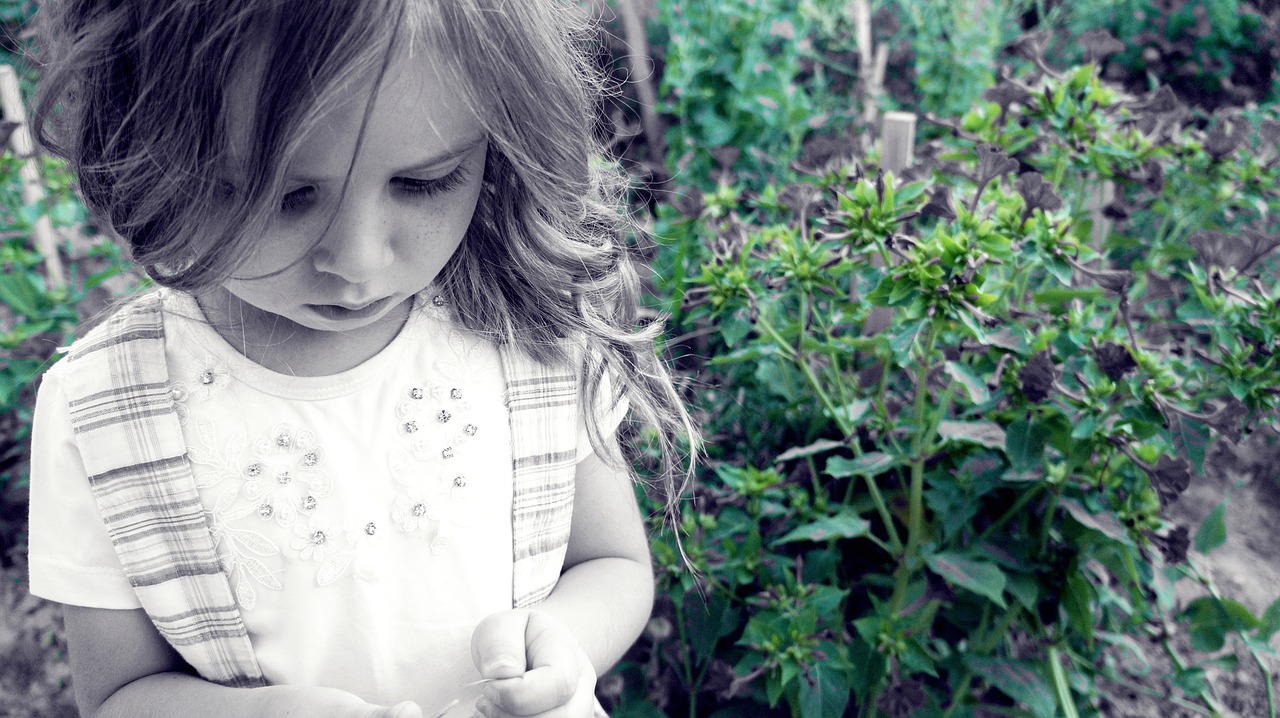 pretty girl female child the innocence free photo