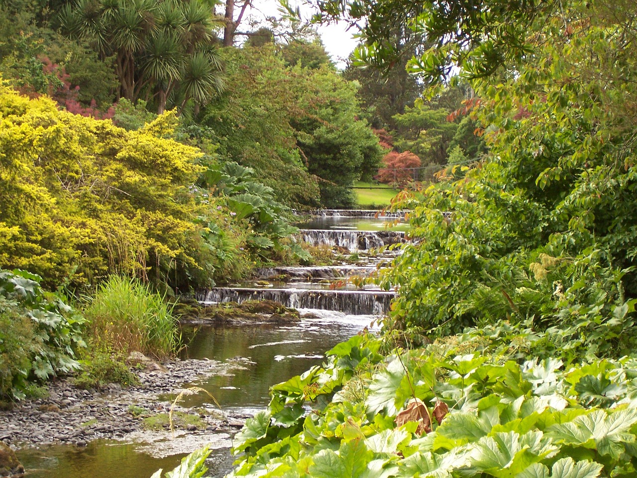 pretty scene water little water fall free photo