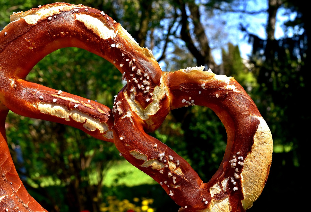 pretzel salt pretzels free photo