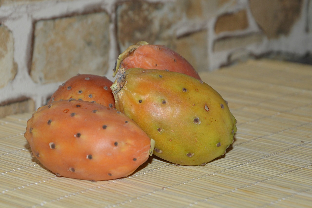 prickly pear fruit fruits free photo