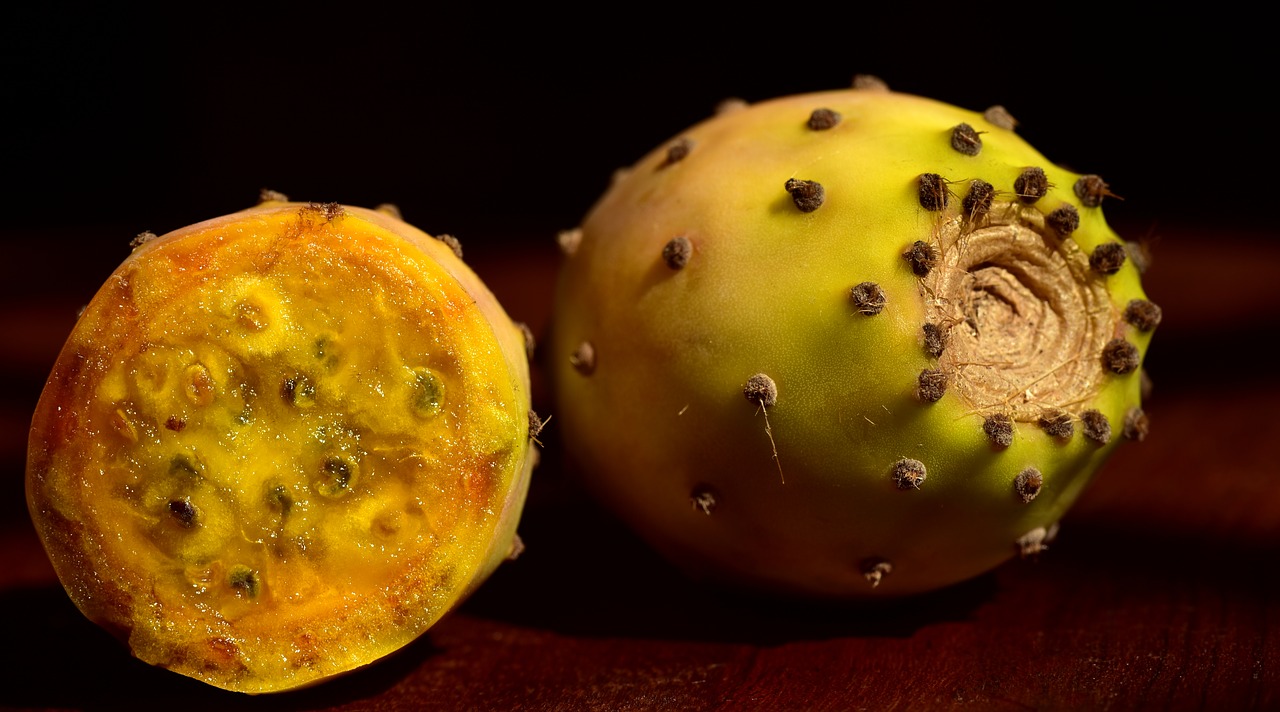 prickly pear  fruit  eat free photo