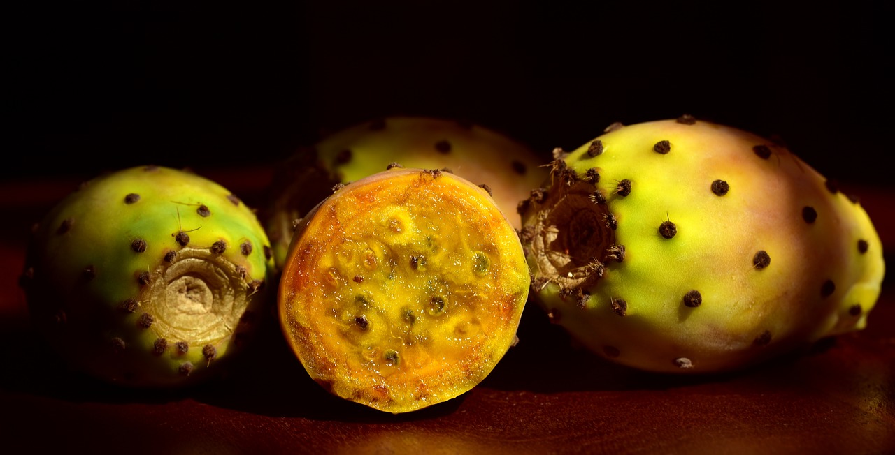 prickly pear  fruit  eat free photo