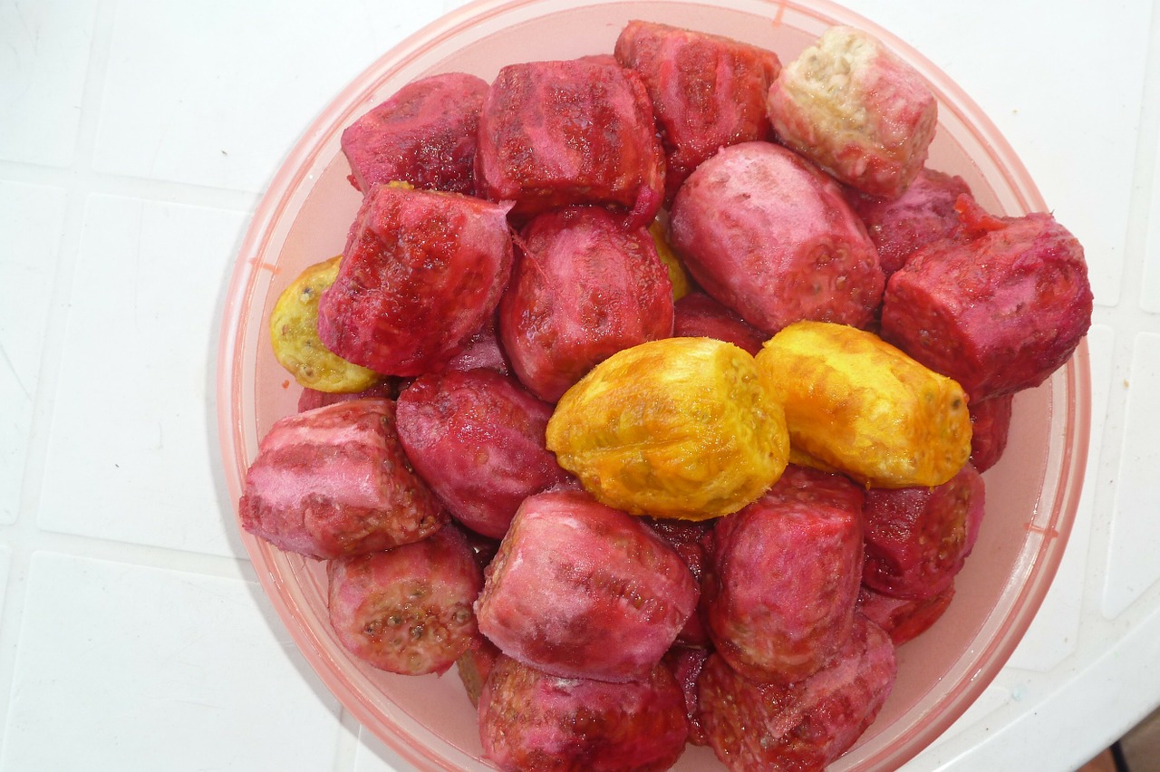 prickly pears salento puglia free photo