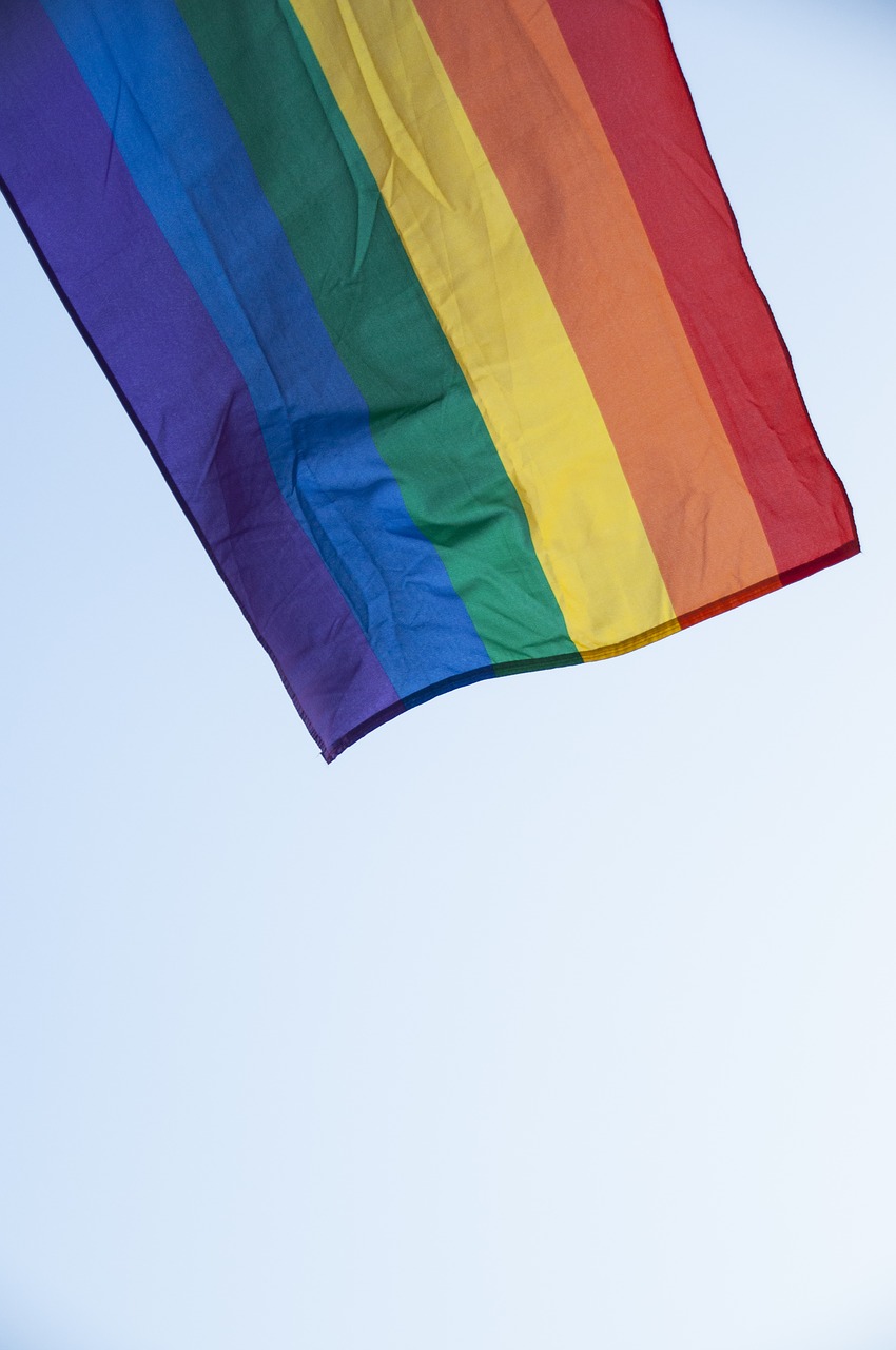 pride flag rainbow free photo