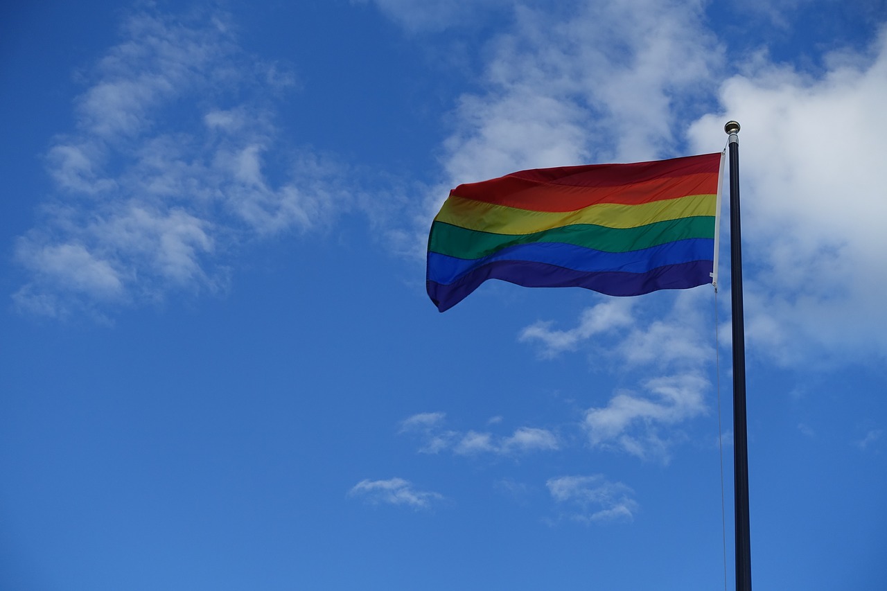 pride gay pride flag free photo