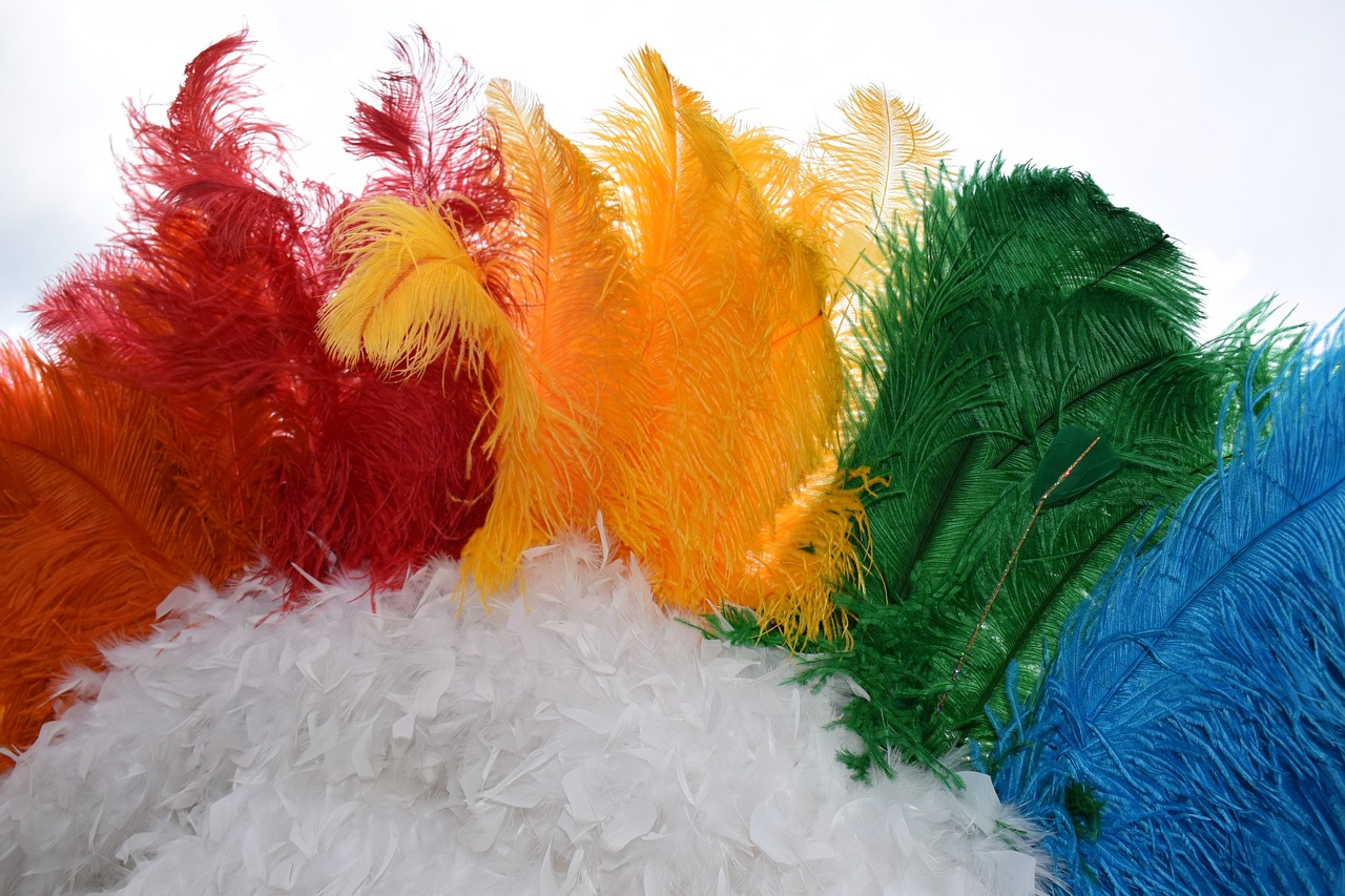 pride  feathers  headdress free photo
