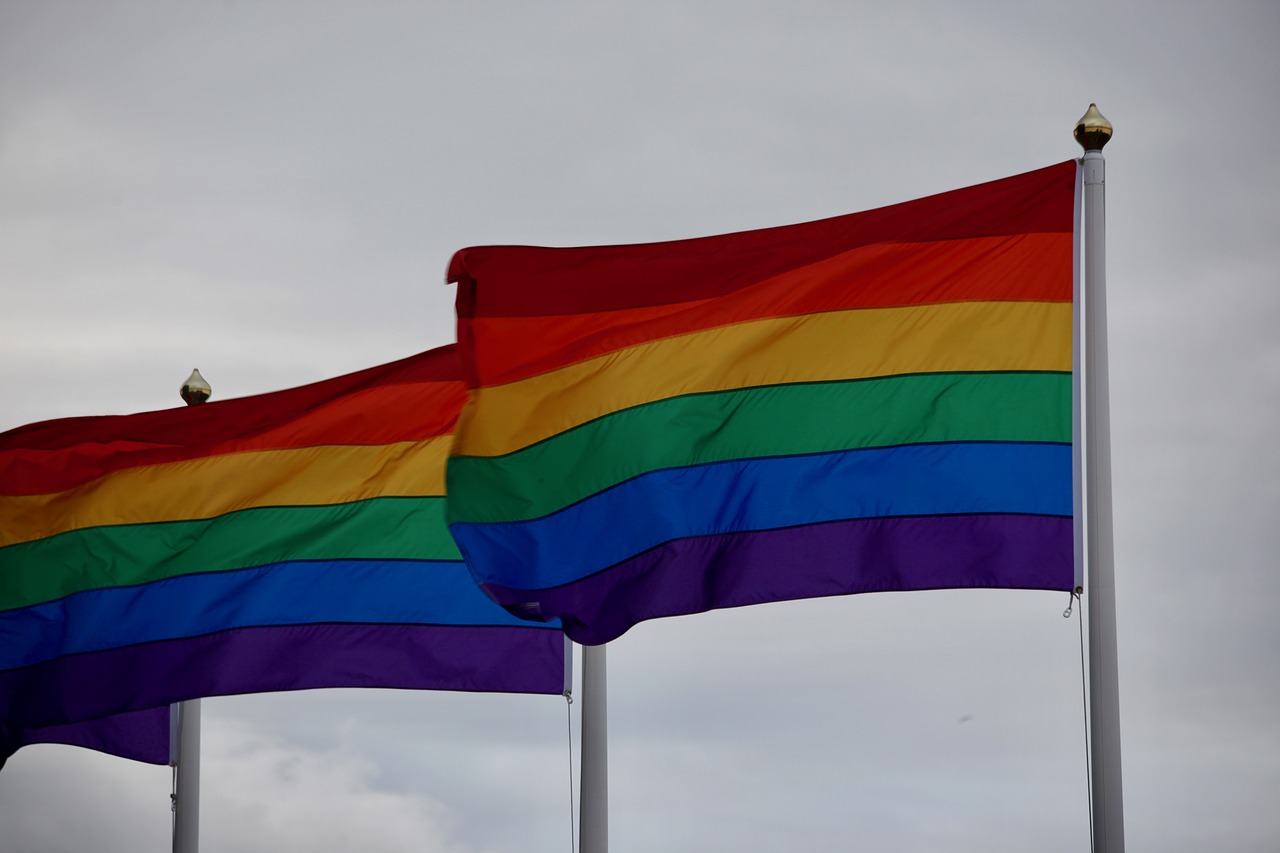 pride  flag  queer free photo