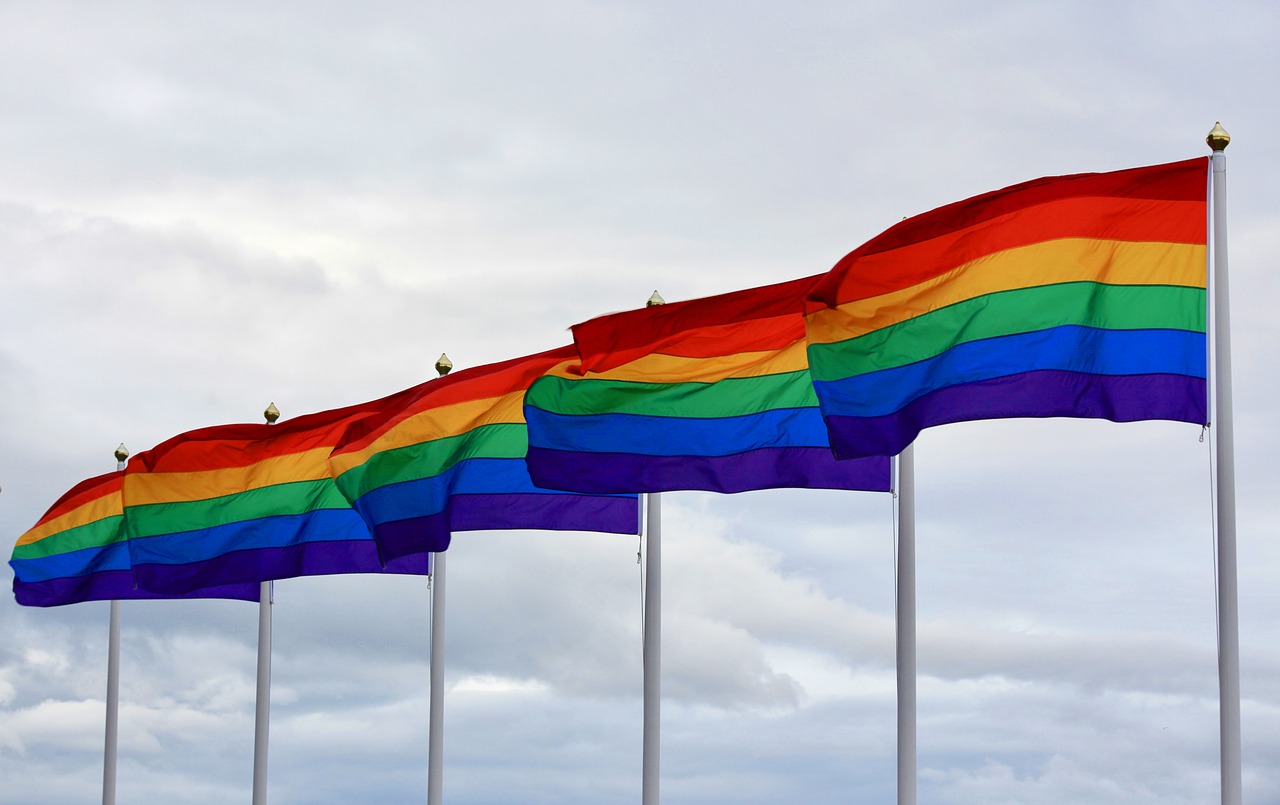pride  pride day  rainbow free photo