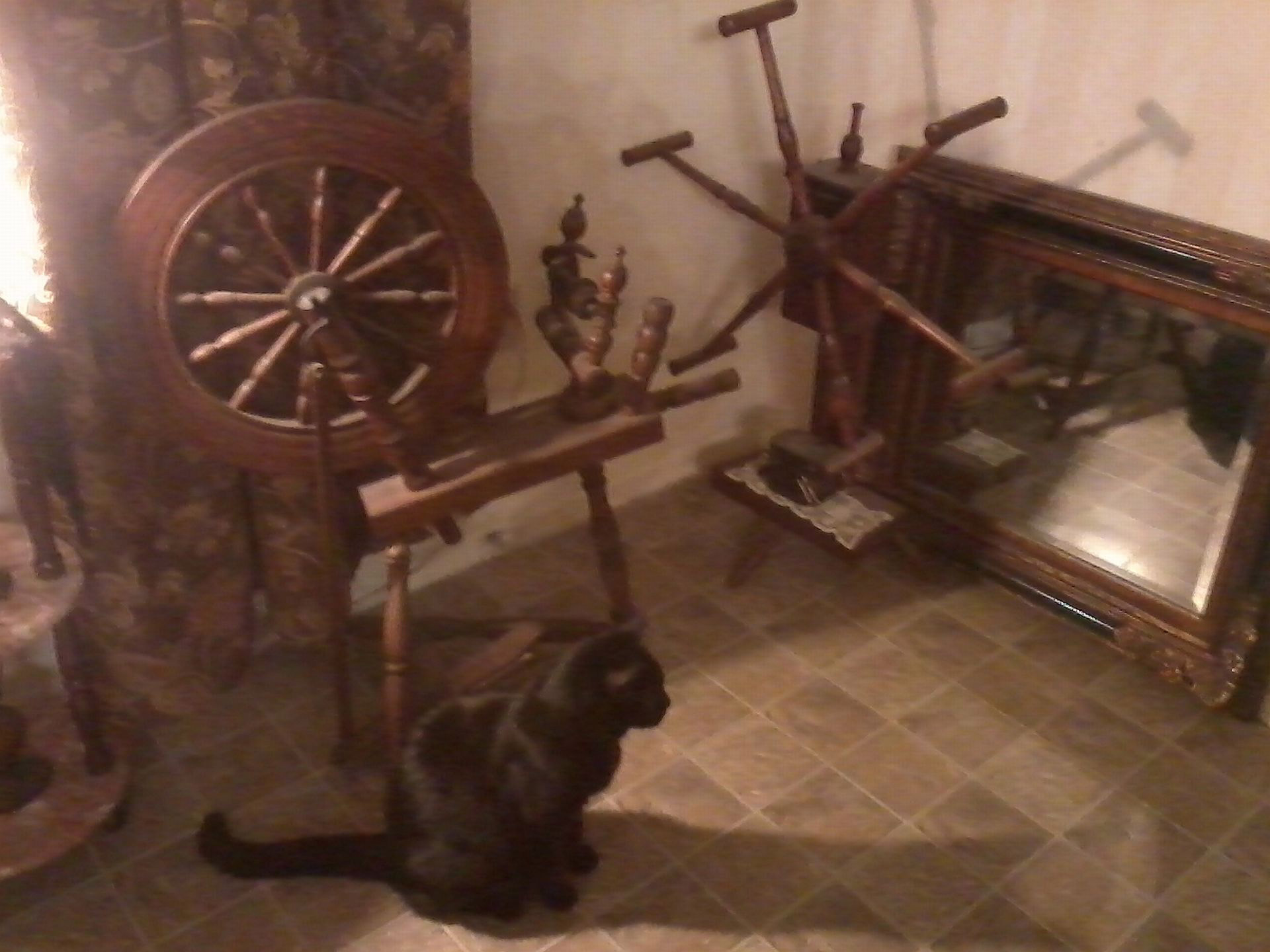 cat spinning wheel witch home free photo