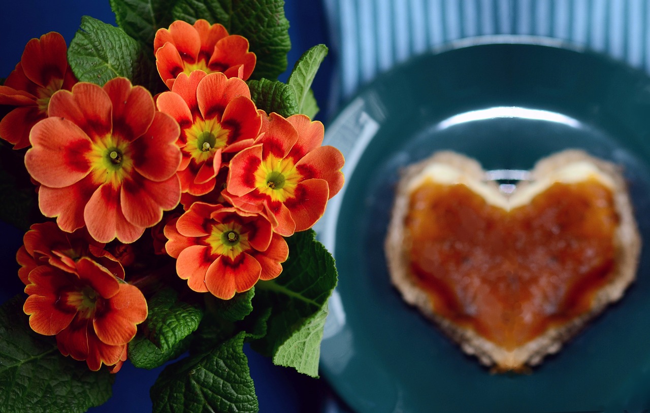 primroses bread plate free photo