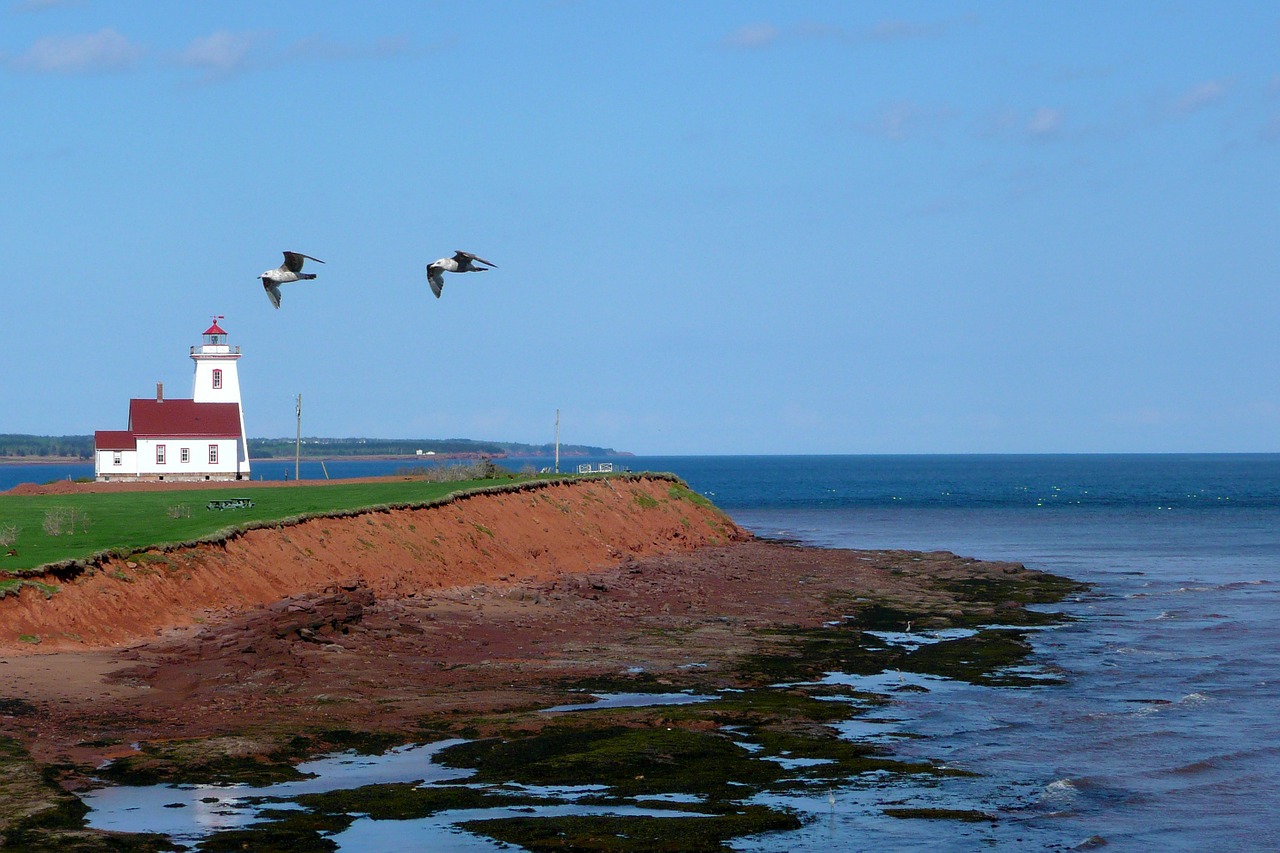 prince edward island canada lighthouse free photo