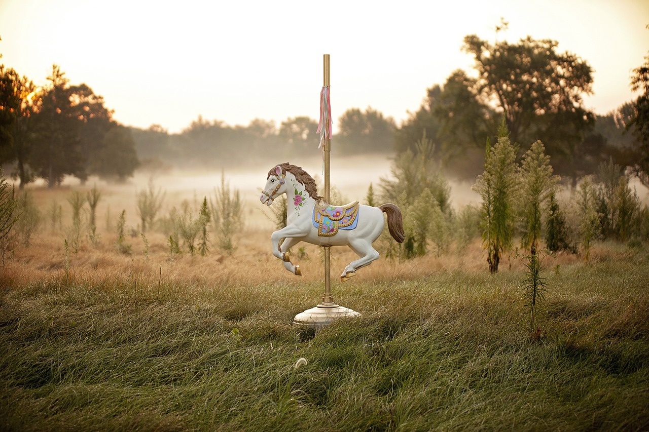 princess horse carousel free photo