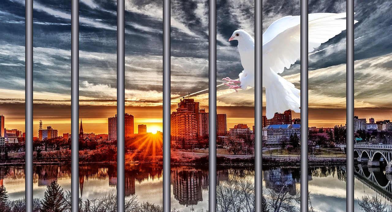 prison dove of peace city free photo