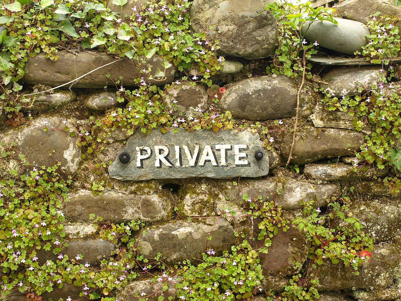 private wall overgrown free photo