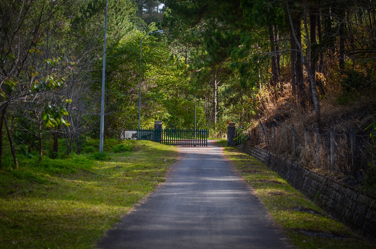 private road village free photo