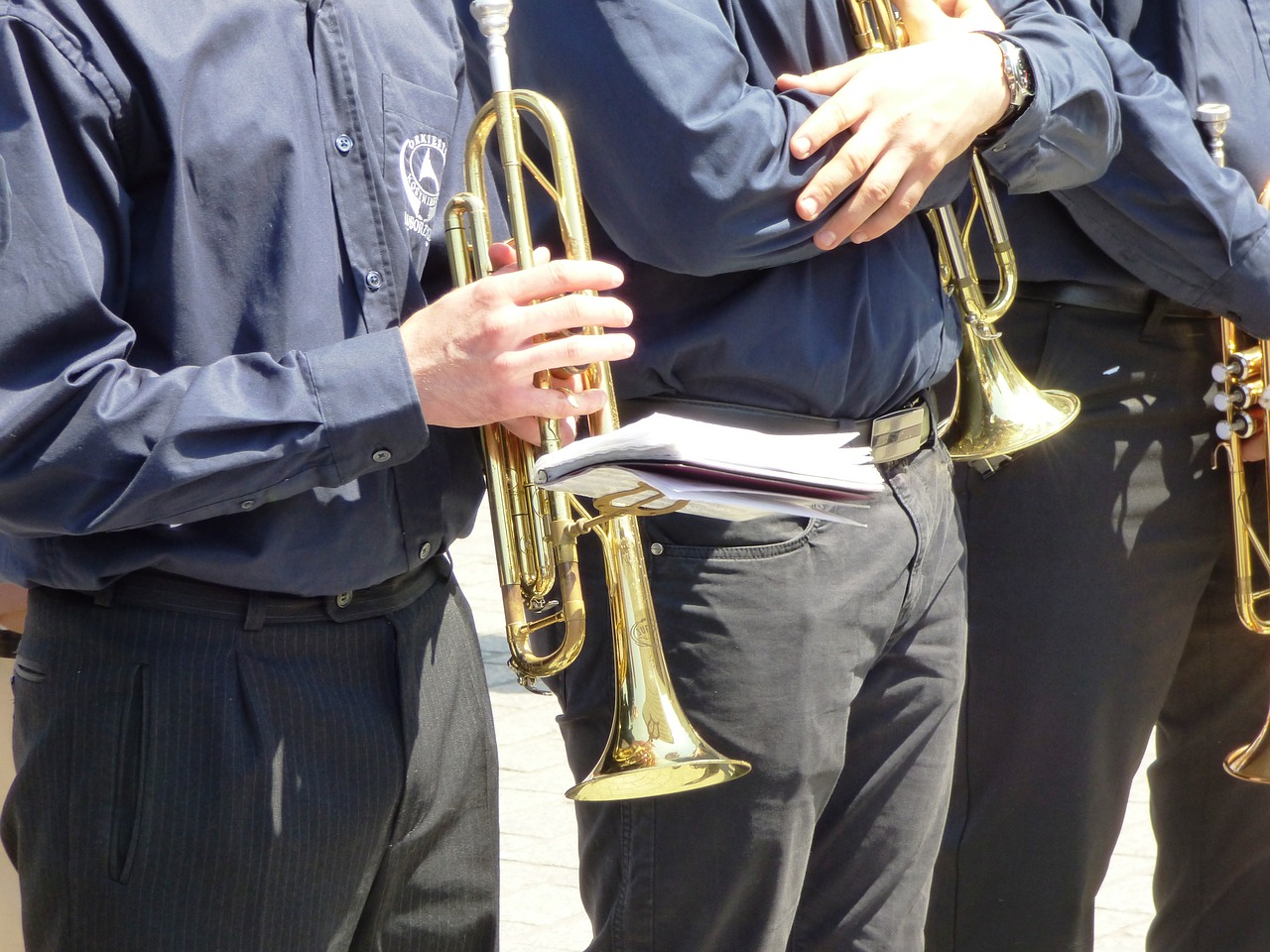 proboscis trumpet instruments free photo