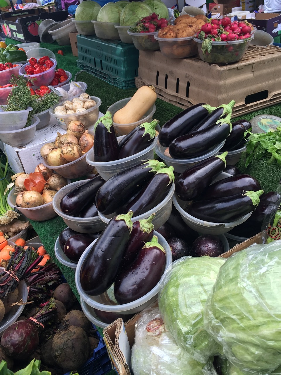 produce eggplants healthy free photo