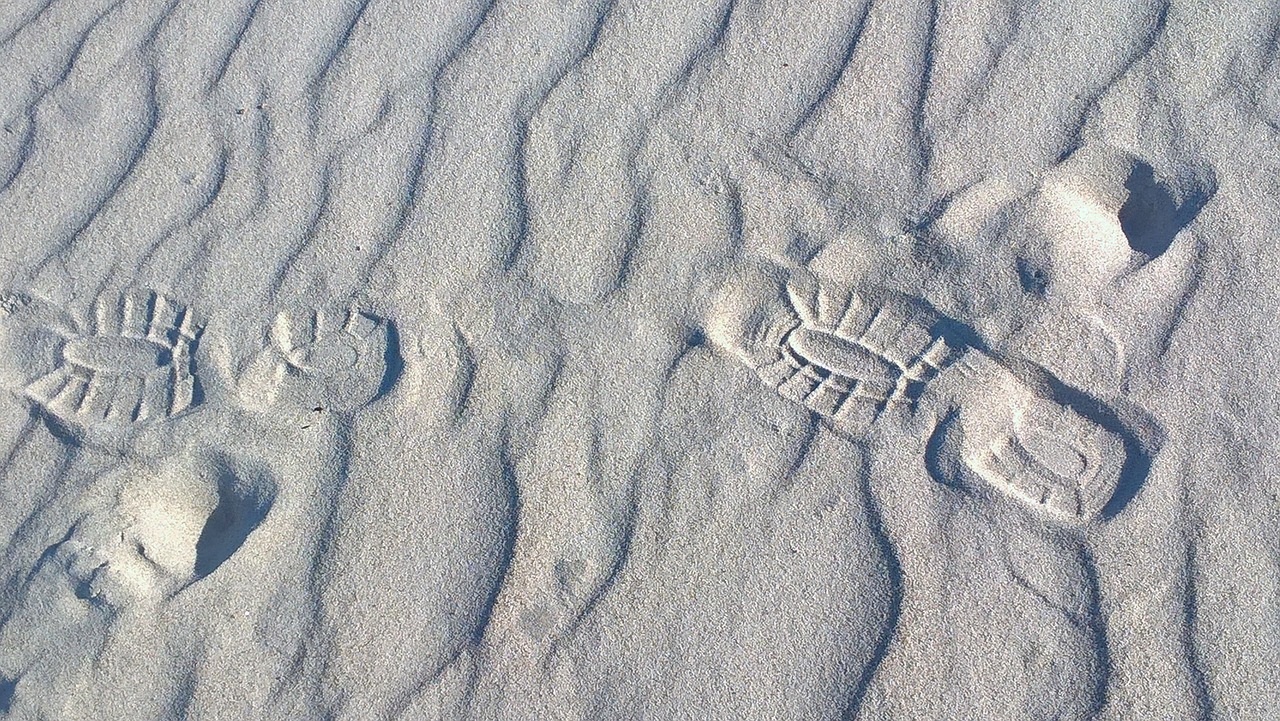 profile  sand  footprint free photo