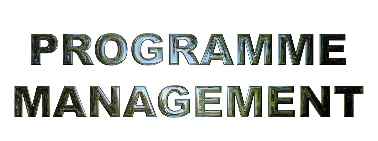programme management business management free photo