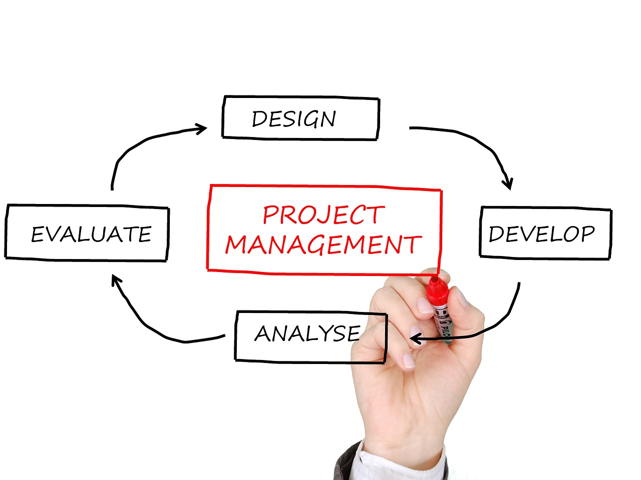 project management business planning project manager free photo