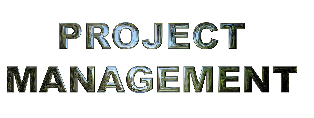 project management business project manager free photo