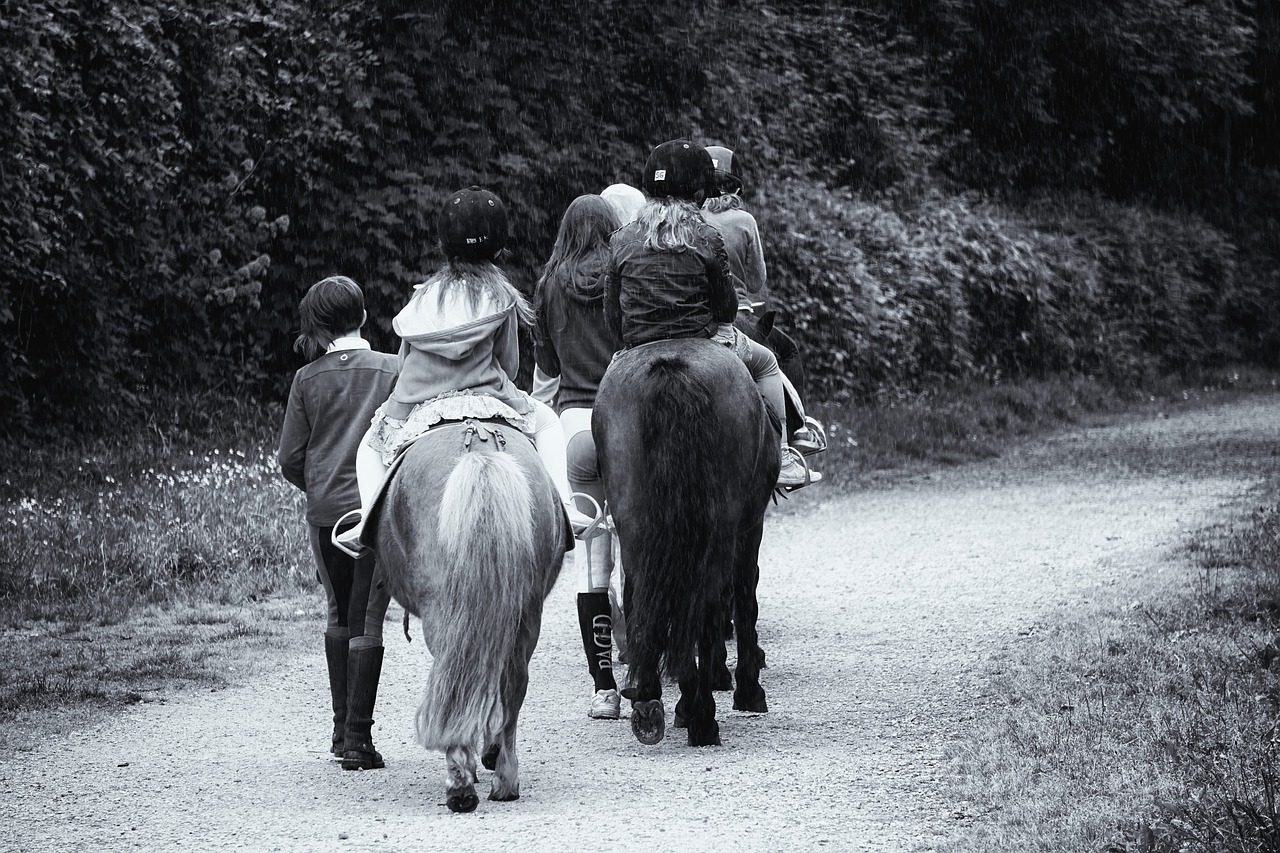 promenade horses riders free photo