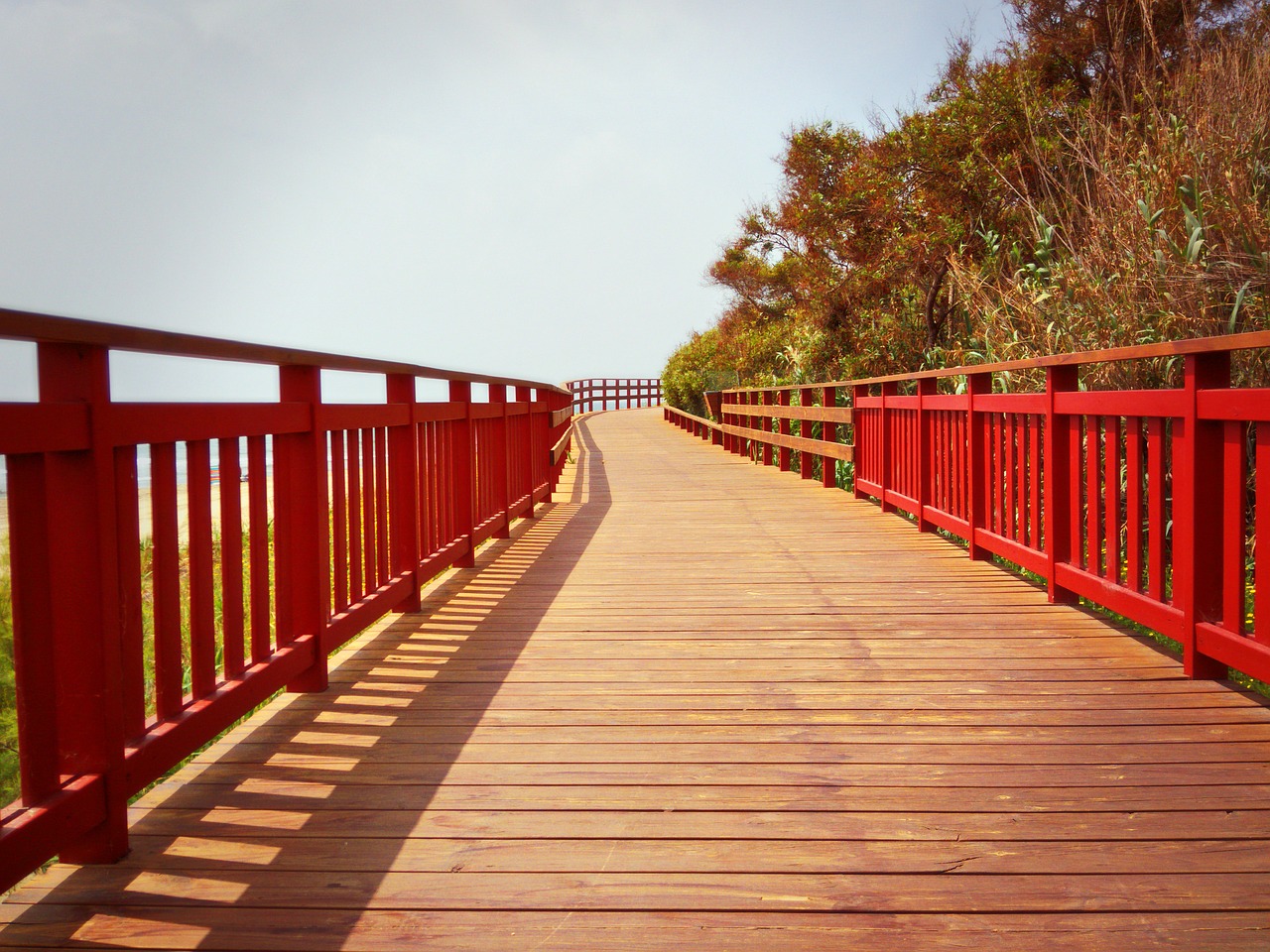 promenade wooden coastal free photo