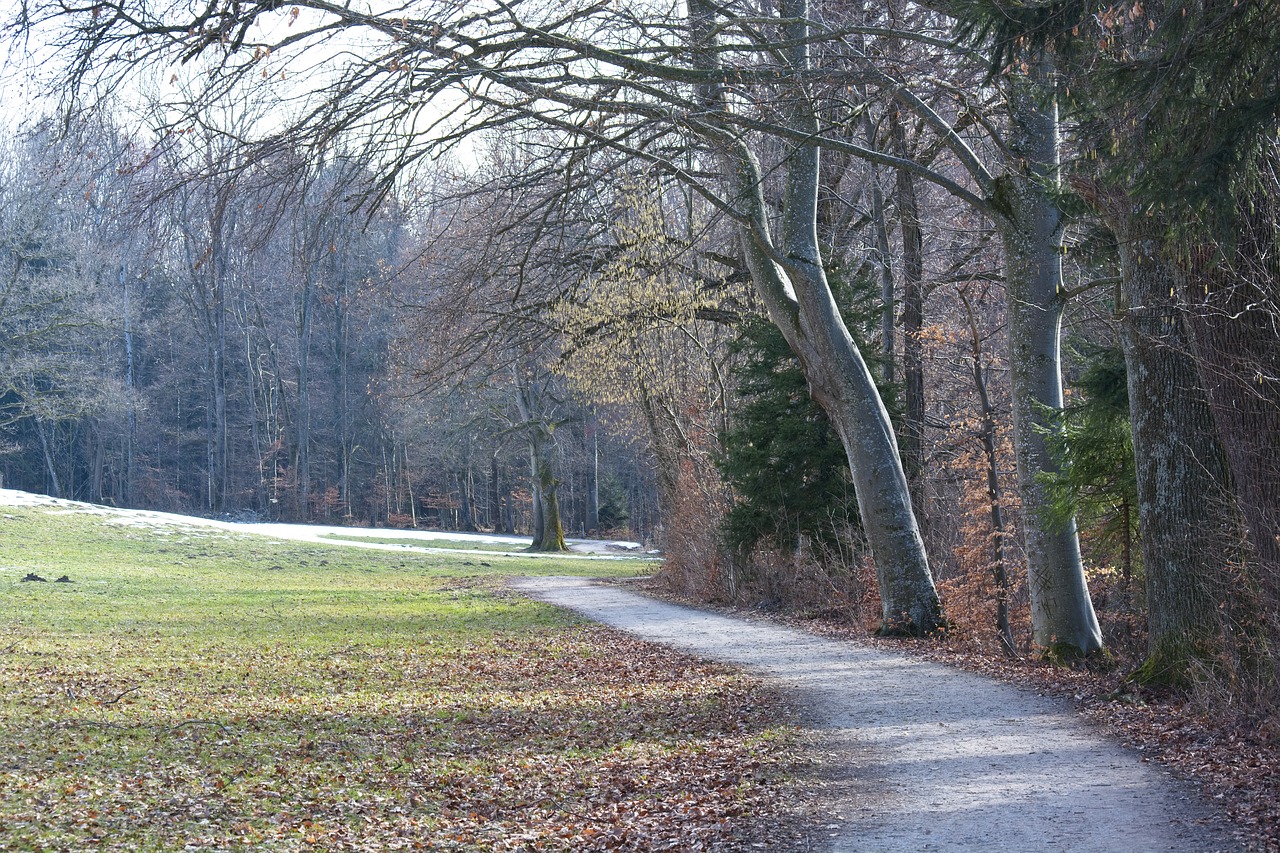 promenade  away  path free photo