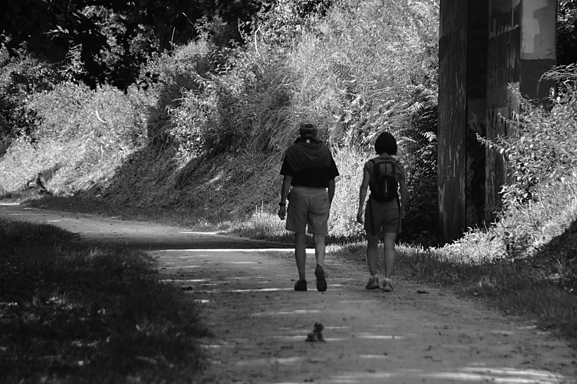 walk walking family free photo