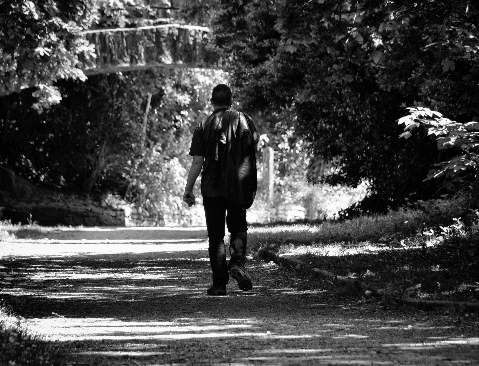 walk walking ballad free photo