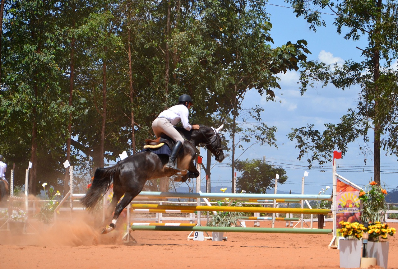 proof equestrianism championship free photo