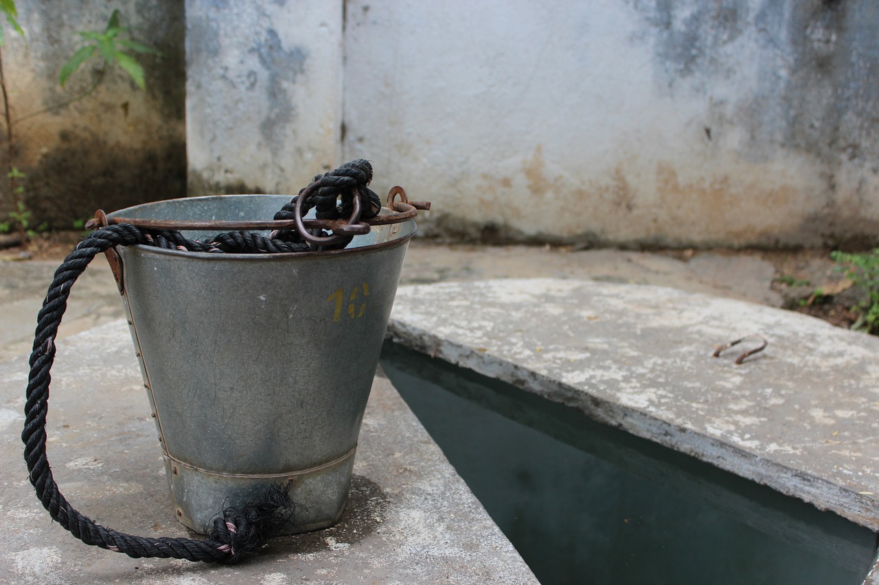 prop bucket nature free photo