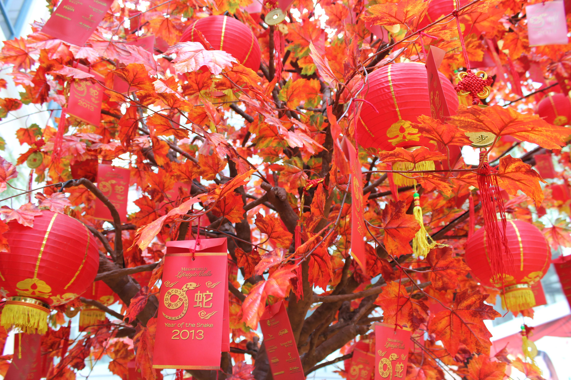red prosperity tree tree leaves free photo