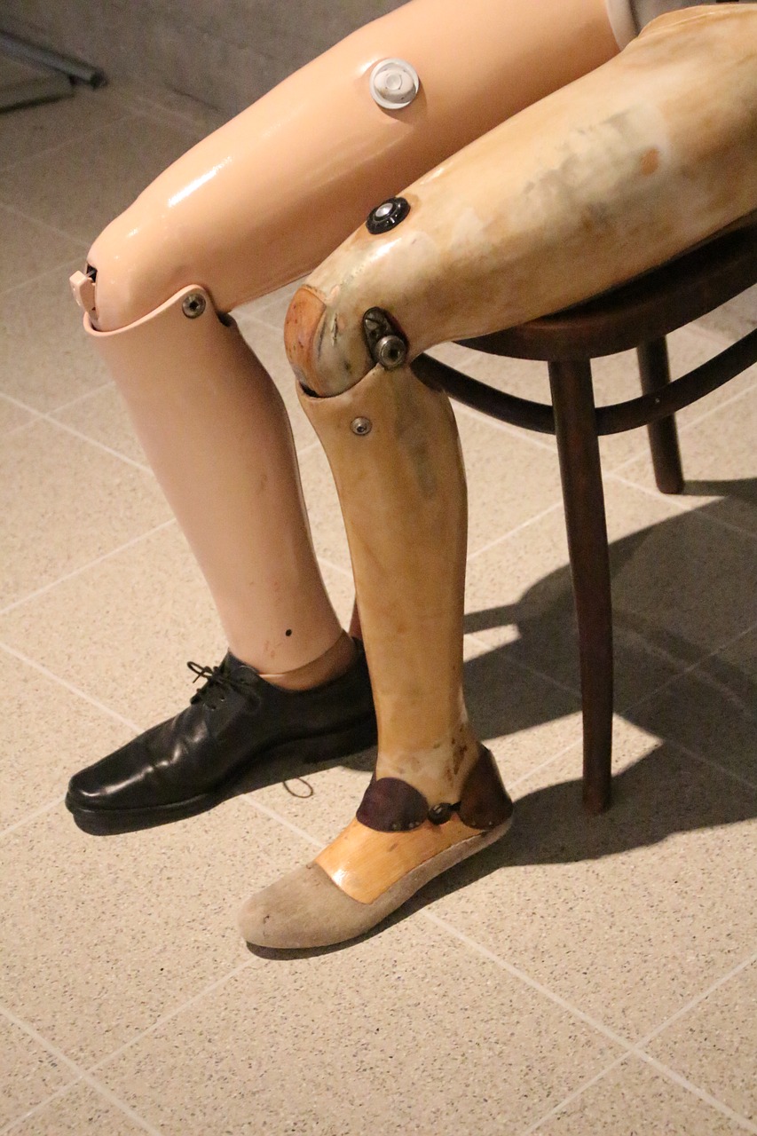 prosthetic  artificial limb  leg free photo