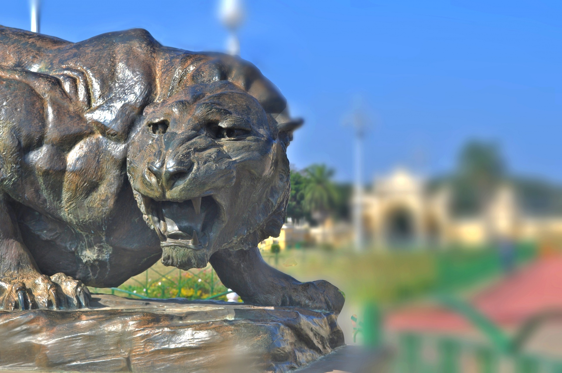 lion animal statue free photo