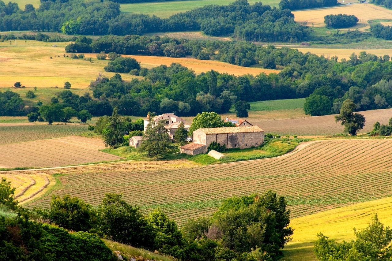 provencal  countryside  farmland free photo